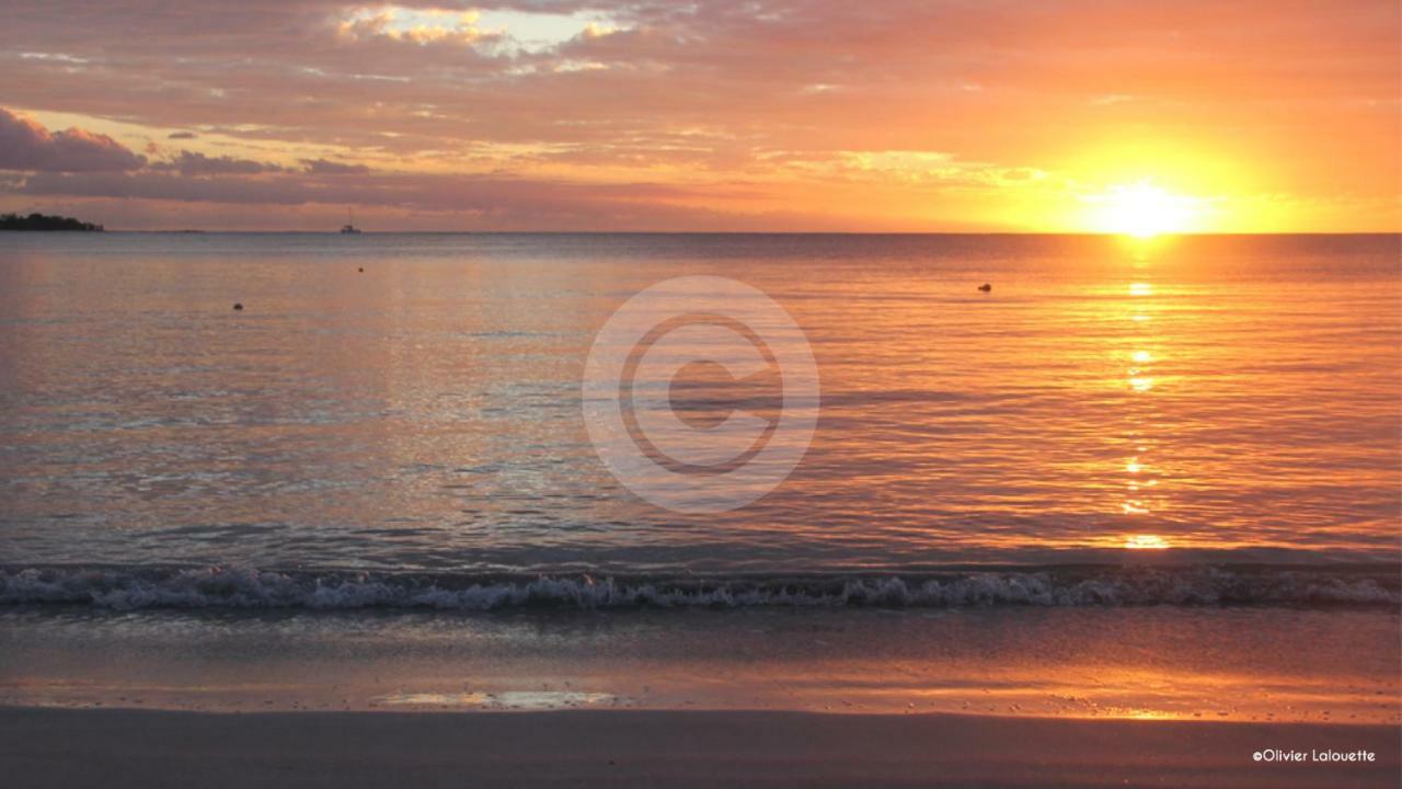 Fantastic Spacious Beachfront Villavacances Grand Bay Luaran gambar